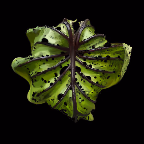 Greenwoper_Farm