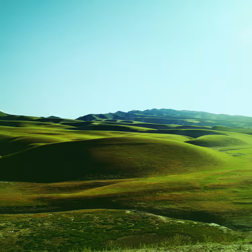 green world collection