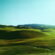 green world collection