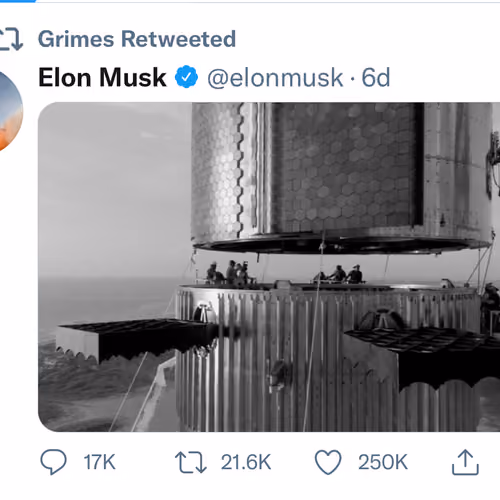Grimes Endorsement Fuck the H@ters