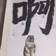 RRRRRRRR - old