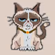 Grumpy katz