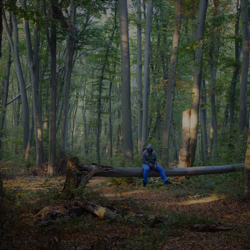 Guardians of the Dark Forest