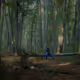 Guardians of the Dark Forest