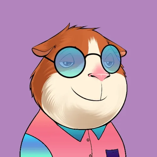 crypto Guinnys minis - old