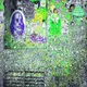 Gum Wall