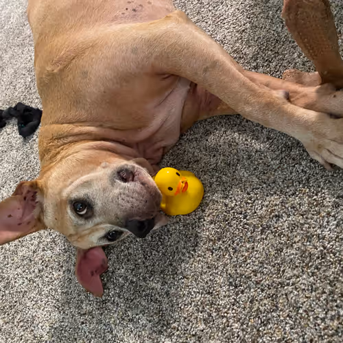 GunnaNotWunna Collection