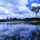 Guyana Black Water