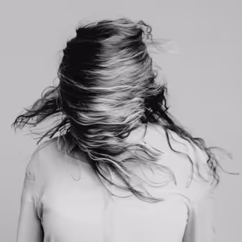Hairscapes