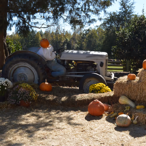Halloween scene