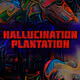 HALLUCINATION PLANTATION (POLYGON)