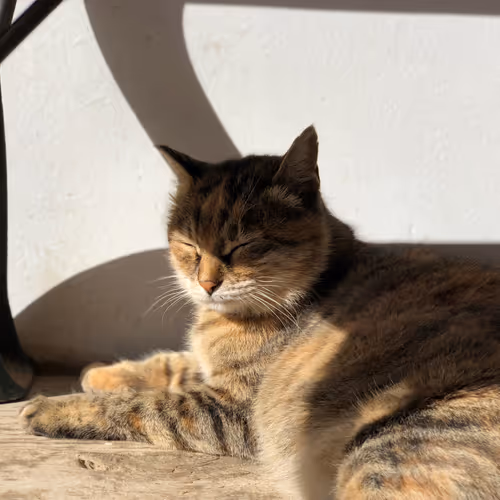 hammer's best 1000 moments