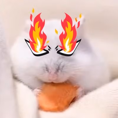 HAMSTER IN VARIOUS SITUATIO - old