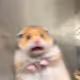 Hamster In A Panic