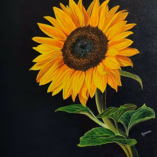 Hand Drawn Paintings