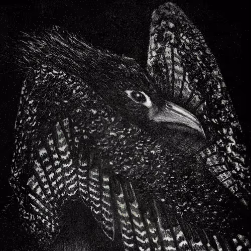 Hand-drawn scanned illustrations