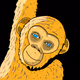 Hanging Ape - old
