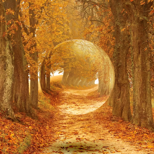 Photoshopped Images by Hannah Beers - old