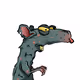 HANTA RATS