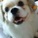 Happy Buzz