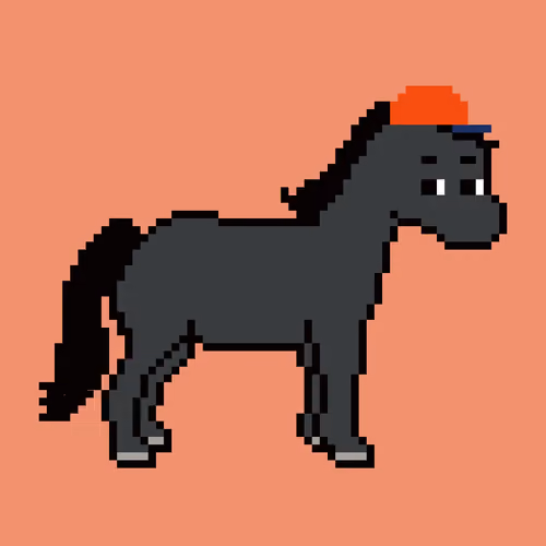 HAAP HORSE PA