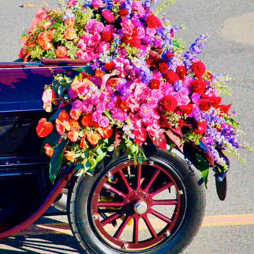 Happy Valentine Roses