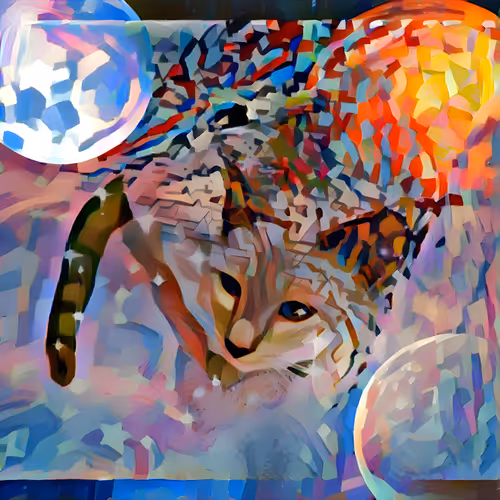 Cats  Collection
