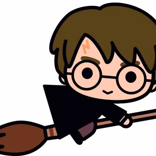 HARRY POTER