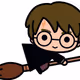 HARRY POTER