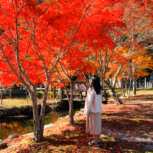 Haruka's Japanese Photo
