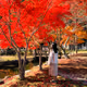 Haruka's Japanese Photo