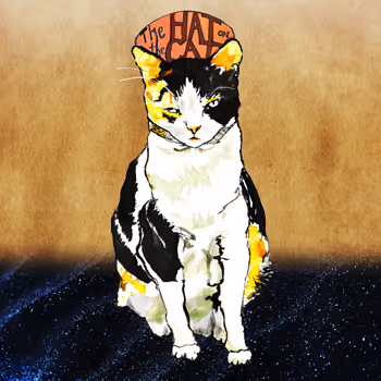 Hat on the Cat