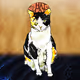 Hat on the Cat