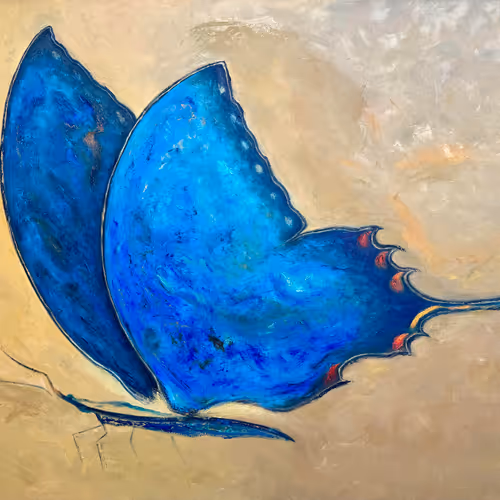 Hatem Alrais Fine Art