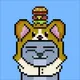 HatzCatz