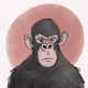 Haunted Apes