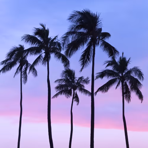 Hawaii Photography