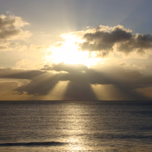 Hawaii By The Sea