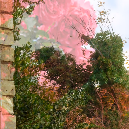 Abstract Photography 1