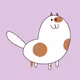 Heart cat