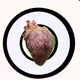 Heart made of flesh