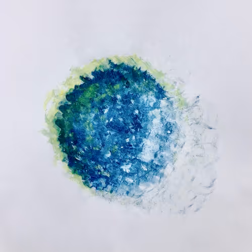 jellyfish - W