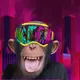 HEDON APES.n.co
