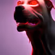 Hell Dawgs