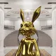 Hello Rabbit #000