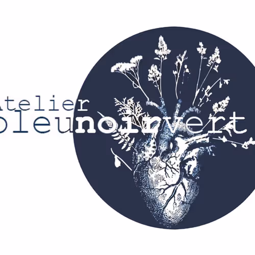 bleunoirvert_