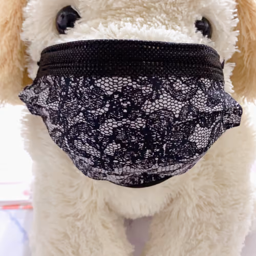 NaNaDogMask