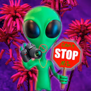 Here's Your Sign - old