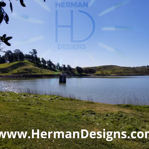 Ca Succulent Drift Wood Art by Herman Designs