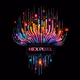 Hex Pixel Universe